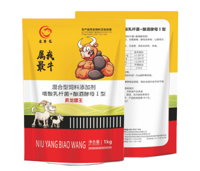 膘 王